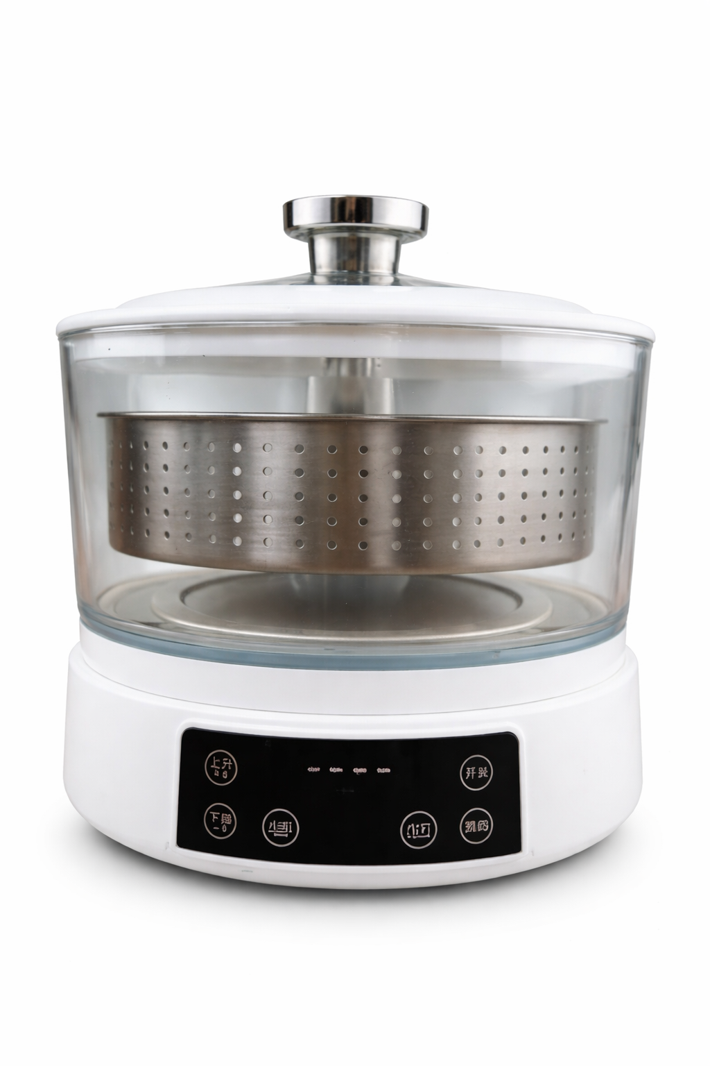 Electric Multi-Function Food Steamer with Glass Bowl & Stainless Steel Tray